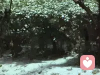 北京迎来第一场雪，清冷中藏着最干净的欢喜…