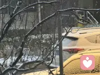 北京迎来第一场雪，清冷中藏着最干净的欢喜…