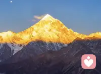 新春启泰，万物归衡，唯愿丙午新岁，君心常暖，万事顺遂！
毛豆姐在这里给大家拜年啦！新春快乐，平安如意！