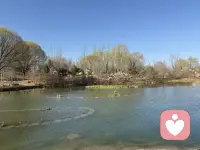 无聊不是能力的缺失，而是灵魂的留白——允许它，就像允许春天有雨天。
午后的阳光正是发呆的时刻，潜意识正悄悄整理情绪碎片。那些被忙碌掩盖的失落、期待或未解的结，此刻浮出水面。允许无聊，其实是邀请自己与内心对话。配图