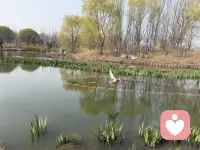 不挂念刚才游过的那片水域有没有更好的鱼，不焦虑明天会不会刮大风。此刻是岸，就在岸上；此刻该睡，就好好睡。配图