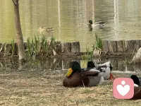 不挂念刚才游过的那片水域有没有更好的鱼，不焦虑明天会不会刮大风。此刻是岸，就在岸上；此刻该睡，就好好睡。配图