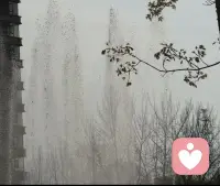 心理学里最温柔的真相，往往藏在看似虚幻的想象里——
那些你在心底悄悄描绘的未来，那些旁人觉得不切实际的憧憬，其实都是心在为你引路。

看似遥不可及的梦，不是虚无，是灵魂最真诚的渴望；
那些看不见的信念与期待，会悄悄推着你，一步步走向你真正想去的地方。

心之所向，素履以往，
最虚幻的念想，常常会开出最真实的花。配图