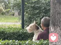 公园里远远拍下这个场景：

最好的治愈，不是言语的宽慰，而是这一刻无声的依偎，让你知道你并不孤单。
因为每个人都有安放孤独的方法，你的呢？..配图