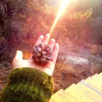 你怎么愛你自己
就是在教別人怎么愛你。配圖