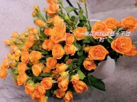 很多人在生命中其實(shí)是在不斷地重復(fù)各種特定的模式——失去、被拋棄、不被尊重、不被愛(ài)等等，顯現(xiàn)在生命的各個(gè)層面里。如果我們學(xué)會(huì)了和這些負(fù)面的感受同在，愿意被它們不舒服的能量折磨，并且學(xué)會(huì)和它們安然共處，而不是采取不當(dāng)?shù)拇胧┤シ纯埂R人、抱怨、逃避、投訴、上癮行為等，那么我們就在這個(gè)模式上取得了勝利，下一次就不會(huì)再墮入它的陷阱里面，讓我們的關(guān)系緊張、情緒崩潰。配圖