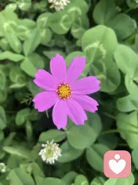 我們早年經歷所發展的看待世界的方式、情感反應模式，經常背負著這些未經檢驗的固定圖式，控制著我們的生活。配圖