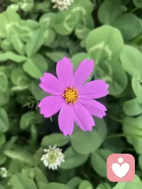 我們早年經歷所發展的看待世界的方式、情感反應模式，經常背負著這些未經檢驗的固定圖式，控制著我們的生活。配圖