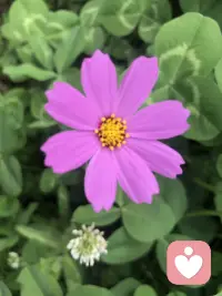 我們早年經歷所發展的看待世界的方式、情感反應模式，經常背負著這些未經檢驗的固定圖式，控制著我們的生活。配圖