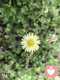 傾聽(tīng)意味著減少投射的答案。可以通過(guò)提出問(wèn)題或者玩笑的方式來(lái)質(zhì)疑（通過(guò)這種方式來(lái)投射觀點(diǎn)引發(fā)反思）。嘗試在積極共情和理性批判之間尋找一個(gè)平衡點(diǎn)。世界是灰色的，識(shí)別不同的灰度，然后嘗試涵容引導(dǎo)。原則：調(diào)和矛盾而非激化矛盾。配圖