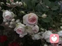 人的無意識的沖動是一種習慣或者習氣，佛教把它稱為無名或者業力。習慣的力量非常強大，它一旦形成就不需要你的幫助能夠自己運作。通常我們只是它的奴隸，那就是為什么我們總犯同樣的錯誤而不能自拔。配圖