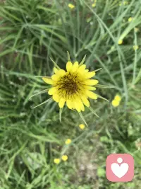 人之所以為人，我們總是需要去理解自我，同理他人，了解我們身處的更大的系統。配圖