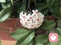 同理心的關鍵在于，當我們了解到他人處于危難的時候，是否愿意設身處地并伸出援手，只有這樣才算懂得真正關心他人。配圖