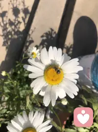 越來越體會到“共識”的重要性。時刻提醒自己，不要“想當然”的在一些看似簡單的事情上認為大家想法一致。多樣性的世界里，每個人由于不同的經歷和角色，會從不同角度對一件事情（項目）有著各自的解讀和認知，為避免扯皮、矛盾和返工，事先溝通討論、明晰定義并達成共識就愈發重要。配圖