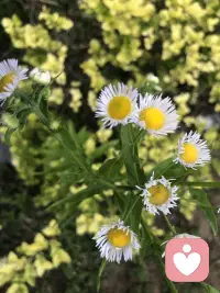 我們需要保有最基本的作為人類的能力，它們是理解自己、管理自己、關(guān)懷他人、合作共事，以及理解我們身處的更大系統(tǒng)—明己、明他、明道，見我、見眾生、見天地。配圖
