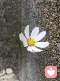 大道理誰都懂，但道理、知識，這些都是水面上的意識，每個人實際問題是這之下的冰山。如果大道理都有用，也不至于那么多人都活不好。配圖