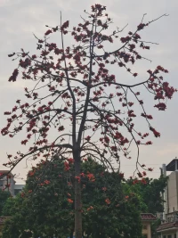 心態的養成根源，來源于自我認知，更是本我、自我、超我在世界和內心間不斷磨合。配圖