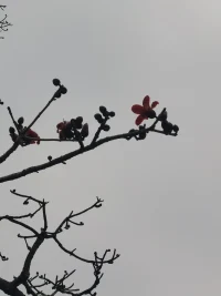 自我概念是一個(gè)人對(duì)自身存在的體驗(yàn)，它包括一個(gè)人通過(guò)經(jīng)驗(yàn)，反省和他人的反饋逐步加深對(duì)自身的了解。自我概念是一個(gè)有機(jī)的認(rèn)知機(jī)構(gòu)，由態(tài)度，情感，信仰和價(jià)值觀等組成，貫穿整個(gè)經(jīng)驗(yàn)和行動(dòng)，并把個(gè)體表現(xiàn)出來(lái)的各種特定習(xí)慣，能力，思想觀點(diǎn)等組織起來(lái)配圖
