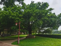 積極語言：
積極的語言會(huì)讓人產(chǎn)生自我認(rèn)同感，自我價(jià)值感。我們一定要從鼓勵(lì)，贊揚(yáng)和共情中的去做，通過積極的語言對(duì)結(jié)果產(chǎn)生效果和影響。
?在教育孩子的過程中，媽媽有時(shí)說了很多話，但是對(duì)孩子卻沒有起到作用，甚至?xí)?duì)做出反作用。這是為什么呢？
?通過超限效應(yīng)可以找到原因，有這樣一個(gè)故事，有個(gè)牧師，在進(jìn)行演說，想讓別人去做慈善，他要幫助一些需要救助的兒童，坐在下面聽他演講的人都想要馬上掏錢，可是這是牧師并沒有停止演講，繼續(xù)跟大家講，為什么要這樣做這件事，結(jié)果他又講了十分鐘之后，其中的一部分就不耐煩了，就不想捐錢走了，他這個(gè)時(shí)候還沒有停下來，最后有個(gè)魔術(shù)師，他不僅沒有捐錢，還從捐款箱里面順走了兩塊錢，其實(shí)他剛開始是想捐十塊錢的。
?那我們?cè)撛趺崔k呢？
首先注意以下幾點(diǎn)：
?一、少負(fù)面情緒宣泄，
二、避免焦慮傳遞：不要快速、大聲、不斷的重復(fù)，這是具有破壞性的，沒有建設(shè)性的。
三、負(fù)性強(qiáng)化：總覺得什么都不好，認(rèn)知上出現(xiàn)了偏差
?去掉以上幾點(diǎn)只說事情就好，說完之后幫助他做，做不到的話再繼續(xù)跟他說，為什么要做到，做到對(duì)你有什么幫助。少羅嗦，科學(xué)的念“緊箍咒”。配圖
