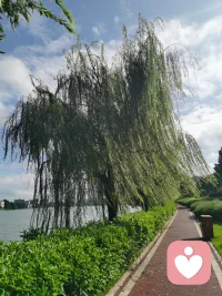 孩子隨口一句“活著沒意思”，父母慌了
?    
       有一些父母反映：“小孩子會對我說活著沒意思，人生沒有意義”這樣的話。父母聽了之后很焦慮，有的甚至夜里睡不著覺。我們來探討一下，如果孩子真的說出這種話，我們該如何應對？
?
父母的判斷
?       這個時候是非常考驗父母的智慧與力量的，如果我們把孩子的話當成嚴重心理問題的征兆，甚至懷疑他有自殺傾向，這就大錯特錯了。孩子的確是遇到了一些問題，但還沒有到患焦慮癥，抑郁癥的地步，再者焦慮癥，抑郁癥是一種心理疾病，有非常專業科學的診斷標準，不能單憑一句話就判斷孩子有抑郁傾向。
?       有的父母也意識到孩子遇到難題，內心難免會有情緒，不過他們的處理方法顯得十分生硬，會就此機會來一場人生說教：“你才遇到多大的事啊，這樣都解決不了，想當年我們經歷的經歷了多少苦，比你現在經歷的要難一千倍一萬倍，我們都撐過來了？沒有什么事是解決不了的，你要學會面對…”這類父母看似在引導孩子，實際上是在否定孩子的情緒，還帶點指責的意味，
?        還有一些父母無法就這個問題做出解答，就歸結于孩子在瞎想，順便還教育孩子：“年紀輕輕的，腦子里都在想些什么呢？現在應該把心思放在學習上，提高成績才是你這個年紀最該做的。”
?未完待續…配圖