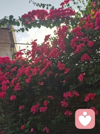 增強孩子與別人連接的能力

?        交往的本質是建立連接，這種與人連接的作用，可以幫助孩子保持愉快的心情，緩解緊張和孤獨的情緒。從別人的肯定、認可中增強自信心，培養積極的人格。孩子的人際交往離不開父母的幫助與引導。當父母以身作則，給孩子進行示范，并鼓勵孩子與人交流時，孩子與別人連接的能力將會得到很大的提升。他們以后的學習與生活都將受益匪淺。配圖