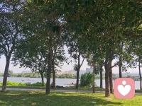 幫助孩子與世界連接
?       心理學(xué)家丁贊教授說：“人類的心理適應(yīng)，最主要的是人際關(guān)系的適應(yīng)，所以人類的心理病態(tài)主要是由于人際關(guān)系的失調(diào)而來。”人作為一個社會成員，有強(qiáng)烈的合作需要通過交際，訴說個人的喜怒哀樂，會引起彼此間的情感共鳴，從而在心理上產(chǎn)生一種歸屬感和安全感。

?建立好的連接意義重大
       ?交往的本質(zhì)是建立連接，早期良好的母嬰關(guān)系，使孩子在成長過程中可以跟隨自己的真實需要去發(fā)展興趣，學(xué)習(xí)知識和技能，建立有意義的人際關(guān)系，進(jìn)而實現(xiàn)人生的價值和生命的意義。這一類孩子積極向上，自信自強(qiáng)，很受大家喜歡。
?       相反，早期無法得到父母的積極關(guān)注和正向回應(yīng)的孩子，容易形成怯懦、退縮、回避、孤僻等性格。成年之后，他很難處理好人際關(guān)系，因為他擁有極強(qiáng)的自我意識，所以很難主動與他人建立連接，也難以允許他人進(jìn)入自己的世界，比較極端的就是孤獨癥和抑郁癥。
?
出現(xiàn)連接的問題，起因很復(fù)雜
?       孩子的交往對象相對單純，主要是老師，同學(xué)和家人，但他們產(chǎn)生人際交往問題的原因相當(dāng)復(fù)雜。有的來自孩子個性心理、認(rèn)知因素、情緒因素的方面影響，也有來自家庭和學(xué)校教育不當(dāng)?shù)挠绊懙取??       孩子的個性心理結(jié)構(gòu)發(fā)育不完整，心理學(xué)家認(rèn)為，孩童在童年時期易出現(xiàn)個性心理結(jié)構(gòu)發(fā)展不完整的問題，這種問題的表現(xiàn)是多方面的，它可以表現(xiàn)在性格上或人際關(guān)系中，在性格上，孩子易怯懦、退縮、自卑、自私或傲慢等，而在人際關(guān)系中，孩子易從眾、委曲求全。
?       父母重視成績而忽略人際關(guān)系。部分父母一味追求孩子文化課的成績，不注重孩子人際關(guān)系能力的培養(yǎng)，不太關(guān)注孩子交了多少朋友，更不會關(guān)系關(guān)心孩子的內(nèi)心感受。孩子受委屈時，父母往往以學(xué)業(yè)為重而忽視不管。
?      父母養(yǎng)育方式極端或父母關(guān)系不和。有的父母養(yǎng)育方式極端，如過度控制，過度否認(rèn)溺愛，或者父母關(guān)系不和等，都會導(dǎo)致孩子的性格出現(xiàn)偏差，表現(xiàn)出自卑、敏感、偏執(zhí)的特點，使孩子在建立和維系關(guān)系方面顯得力不從心。
?未完待續(xù)…配圖