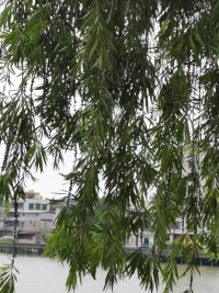 孩子喜欢宅在家里怎么办
​      时不时听到一些父母向我抱怨:“孩子总在假期总是宅在家中，不和同学同龄的孩子接触，也不喜欢和家人沟通。”孩子为什么总宅在家里？作为父母的我们应该怎么做？我们来一起探讨。
​
缺少父母陪伴
​       有些父母平时工作很忙，回到家里也是对着电脑工作，即便偶尔有一点时间也要忙着做家务，很少有时间陪孩子玩。对于孩子来说，他更希望父母带他出去玩。面对孩子的央求和哭闹，父母一般会让孩子看电视或者玩手。久而久之，孩子就会习惯孤独，习惯自己玩耍习惯，用电子产品打发时间越来越不愿意出去。
​     
​家庭氛围冷漠压抑
​      有些父母一心想着事业，在家里对孩子的关注度不够，在这样冷漠的家庭环境中成长的孩子，常常喜欢宅在家里，孩子常常表现的非常胆小、怕事，会因为没有人关心自己的喜怒哀乐，心里的委屈无法诉说，而变得异常敏感、暴躁。
​       如果孩子此时正处于青春期，他就会格外在意自己在别人眼中的形象，还会把父母对他的态度延伸到其他人身上。如果父母很在乎他，他会觉得外部环境是安全的，周围人也会很友善，他就乐意走出家门。如果父母对他不够关心，他会觉得其他人不在乎他，关注他，于是就把自己封闭在小小的房间里，通过虚拟的网络寻找安全感和满足感。由此可见，孩子不喜欢出门和家庭氛围有极大关系。父母有没有为孩子营造温馨友好的氛围？有没有遵循孩子身心特点和孩子进行互动？这些都会影响孩子对外部世界的感知和判断，并最终决定孩子是否愿意走出家门，拥抱社会。
​未完待续…