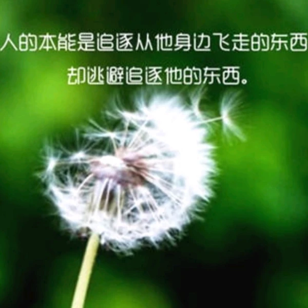 辰溪【失恋心理】