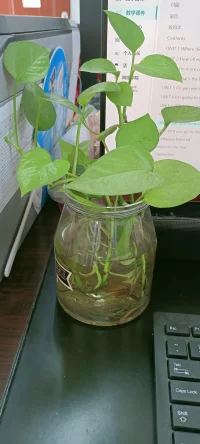 專注力對孩子的發展尤其重要，家長一定要注意保護。把握孩子成長的黃金期，多點耐心，循序漸進提升孩子的專注力。配圖