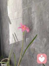 性本善還是性本惡，取決于父母親對孩子的態(tài)度！配圖