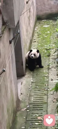 完美的客體并不重要，做多么能夠接納的客體才重要！配圖