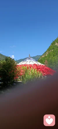 我只會隨自己的心意而動，不會受制于任何人！
這句臺詞好酷炫！配圖