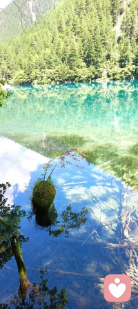 婚姻關系的完美在于，它能夠耐受一些分離、挫折，能夠接受對方的一些缺點，不完美，這可能才向完美靠近！配圖