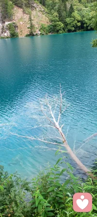 不帶攻擊性的表達期待！配圖