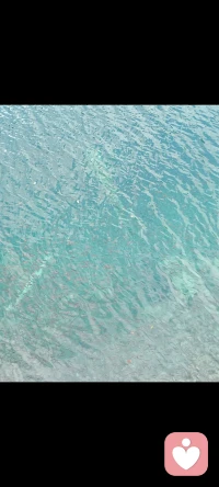 允許……感恩……配圖