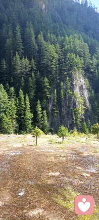 你想挽回的，是讓內心那個不接納自我的自己重新接納自我。
你向往愛情，向往的是成為那個值得被愛的自已。
而對愛情的追逐，就是你跟你自己和解的過程。配圖