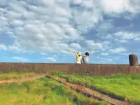 人生之路，錯(cuò)綜復(fù)雜，有平順之境，亦有坎坷之時(shí)。
 
活著，誰(shuí)都不容易，一輩子忙忙碌碌，無非就是：做人、做事。
 
會(huì)做人，懂做事，才能在世事浮沉中，活出幸福人生。配圖