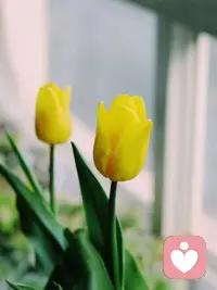 生活有苦有甜，才叫完整。日子有陰有晴，才叫自然。心情有悲有喜，才叫體會。愛情有鬧有和，才叫情趣。配圖