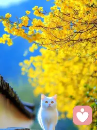 任何時候，都不要懷疑自己的價值，也不要懷疑努力的意義

想要什么，就去種下什么種子

與其焦慮未來，不如專注當下，把眼前的事做好配圖