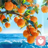 這個(gè)世界不會(huì)偏愛任何一個(gè)不勞而獲的人，當(dāng)然也不會(huì)辜負(fù)任何一個(gè)默默努力的人，要記得一直加油啊。配圖