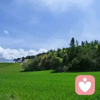 如果你想談?wù)撌挛铮驼務(wù)撋屏迹瑦郏艺\和希望。否則，那就什么也別說，因?yàn)槟愕恼Z言會(huì)決定你的感情、思想和明天。配圖