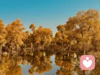 不是精美生活才值得記錄，每一個平凡時刻也足以成為一次刻骨銘心的回憶。它代表的是你身上發生的某個瞬間，都帶著認真生活的氣息。配圖