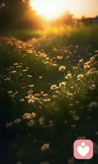 有些人在23歲選擇結婚
但在26歲又選擇了離婚
有些人在26歲找到了工作
并在28歲做出一番成績
而有些人30歲依然單身
有的人40歲才遇到真愛
有的人60歲已經去世
而有的人70歲了還在環游世界
有些人在18歲就遇到了想要共度一生的人。
你有你的人生
我有我的旅程
不要因為看到別人交卷
就匆忙亂寫答案
遇良人先成家
遇貴人先立業
未遇良人先自立
未遇貴人先自修
你要相信
你想要的一切都在來的路上
沿途的花會一直開
以后的路祝你 也祝我越來越好。配圖