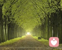 人生是個過程，不是結果。只追求結果無疑于找死，因為死亡是終極結果。如果注重過程，結果就會顯得不那么重要了。配圖