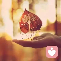 咨詢工作中，咨詢師語言最大的作用是讓求助者能夠把潛意識投射出來，咨詢師只是一面鏡子，所以一面鏡子長篇大論侃侃而談的時候，就是侵占了求助者。配圖