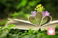 成功的定義-擁有那些金錢買不到的東西配圖