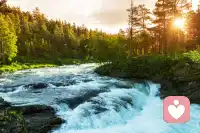 在心理學有一個說法：錢流向不缺錢的人，愛流向不缺愛的人。配圖