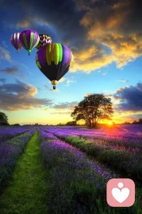 人活著，不在于世界讓你高興，

而在于你選擇了高興。配圖