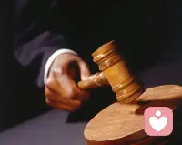 你一輩子都在評判，評判別人的對與錯，也評判自己的是與非。你會判定哪些人有罪，哪些人無辜。最后你會發現你的評判除了影響到自己的情緒，什么都改變不了。配圖