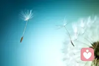 喪失是一種轉(zhuǎn)折，它連接著結(jié)束與開始！配圖